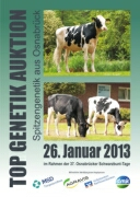 Deckblatt SBT 2013